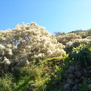 https://chalet-ruta-san-roque-and-pool.in-canary-islands.com